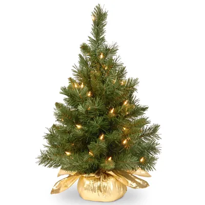 National Tree Company 24" Majestic Fir Tree in Gold Cloth Bag with 35 Clear lights