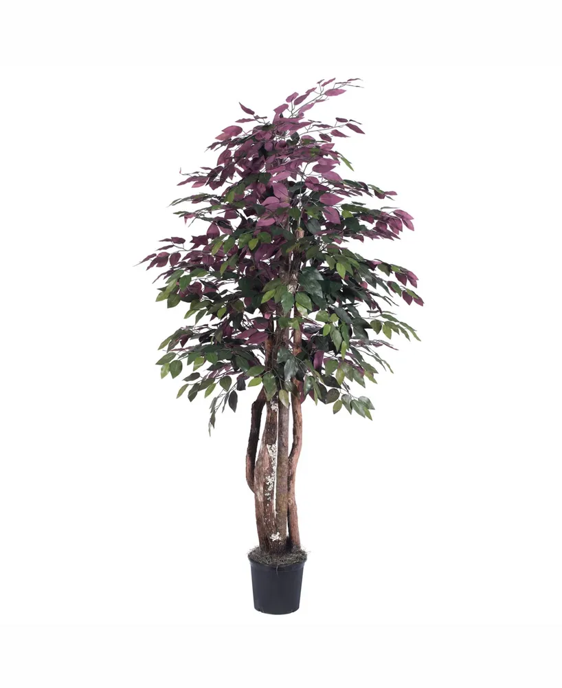 Vickerman 6' Capensia Executive Tree