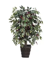 Vickerman 4' Artificial Capensia Bush, Square Willow Basket