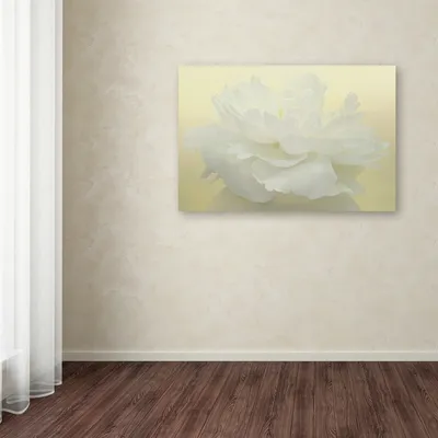 Cora Niele 'Pure White Peony' Canvas Art, 12" x 19"