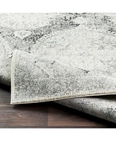 Livabliss Harput Hap-1041 Light Gray 2'7" x 7'3" Area Rug