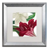 Color Bakery 'Christmas Amaryllis Ii' Matted Framed Art, 16" x 16"