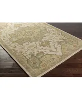 Livabliss Caesar Cae-1143 Khaki 3' x 12' Runner Area Rug