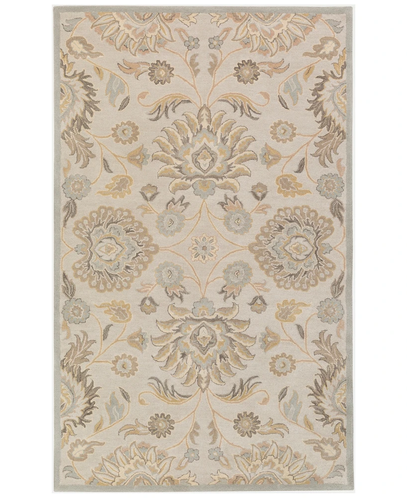 Livabliss Caesar Cae-1192 Light Gray 5' x 8' Area Rug