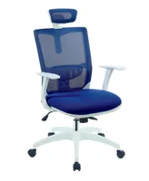 Ari Contemporary Mesh Office Chair