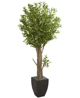 Nearly Natural 6.5' Olive Artificial Tree in Black Planter