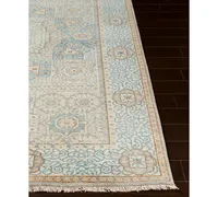 Surya Cambridge Cmb-8014 Aqua 2' x 3' Area Rug