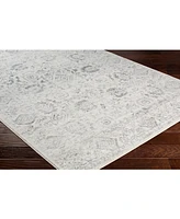 Livabliss Harput Hap-1091 Charcoal 5'3" x 7'3" Area Rug
