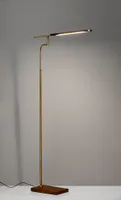 Adesso Barrett Led Floor Lamp