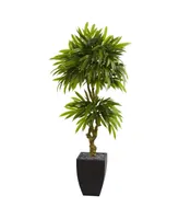 Nearly Natural 5.5' Mango Artificial Tree in Black Wash Planter Uv Resistant