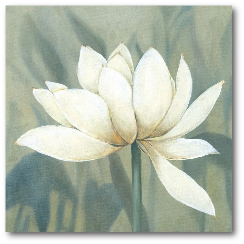 Courtside Market Waterlily Ii Gallery-Wrapped Canvas Wall Art - 16" x 16"