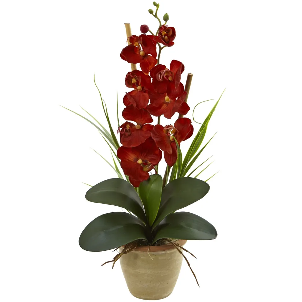 Nearly Natural Phalaenopsis Orchid Harvest Silk Arrangement Ceramic