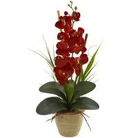 Nearly Natural Phalaenopsis Orchid Harvest Silk Arrangement Ceramic