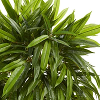 Nearly Natural Slim Mango Artificial Tree Uv Resistant