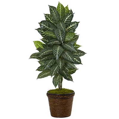 Nearly Natural 4' Zebra Artificial Plant in Coiled Rope Planter