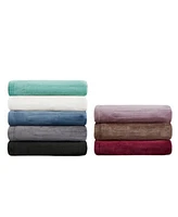 Beautyrest Plush Blankets