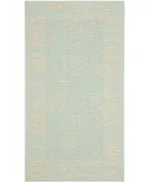 Safavieh Courtyard CY6108 Aqua and Cream 2'7" x 5' Outdoor Area Rug