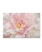 Cora Niele 'Pink Peony' Canvas Art - 32" x 22" x 2"