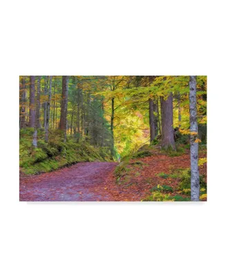 Cora Niele 'Wood Walk Painting' Canvas Art - 19" x 12" x 2"