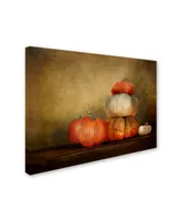 Jai Johnson 'Pumpkins Still Life' Canvas Art - 47" x 35" x 2"