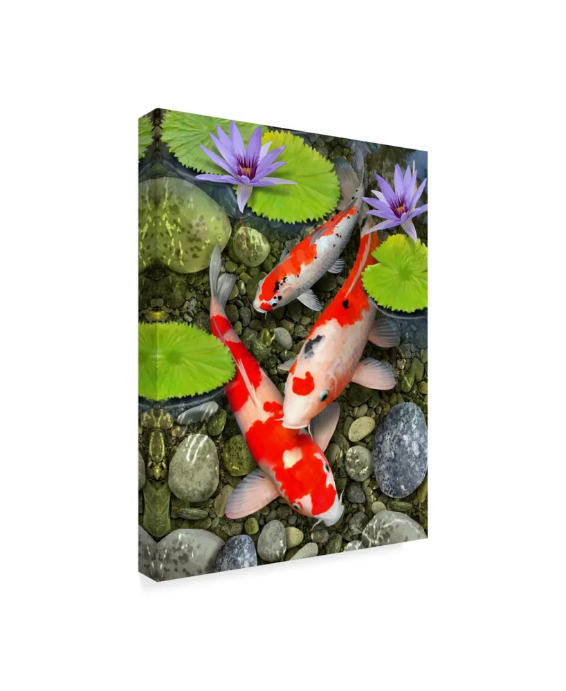 Howard Robinson 'Koi Under Lily Pads' Canvas Art - 24" x 18" x 2"