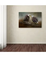 Jai Johnson 'Quiet Conversation Bald Eagles' Canvas Art - 32" x 22" x 2"