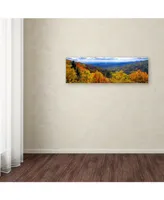 Doug Cavanah 'Autumn Forest' Canvas Art - 19" x 6" x 2"