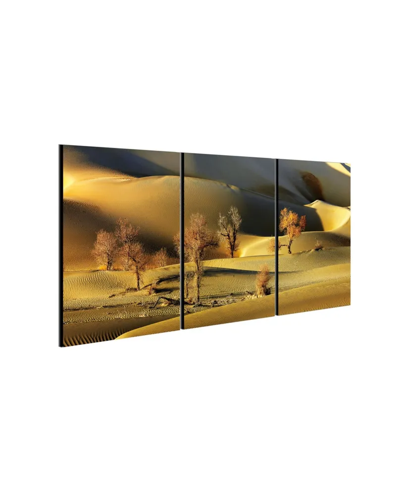 Chic Home Decor Golden Desert 3 Piece Wrapped Canvas Wall Art -27" x 60"