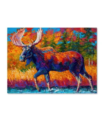 Marion Rose 'Moose Encounter' Canvas Art - 24" x 18" x 2"