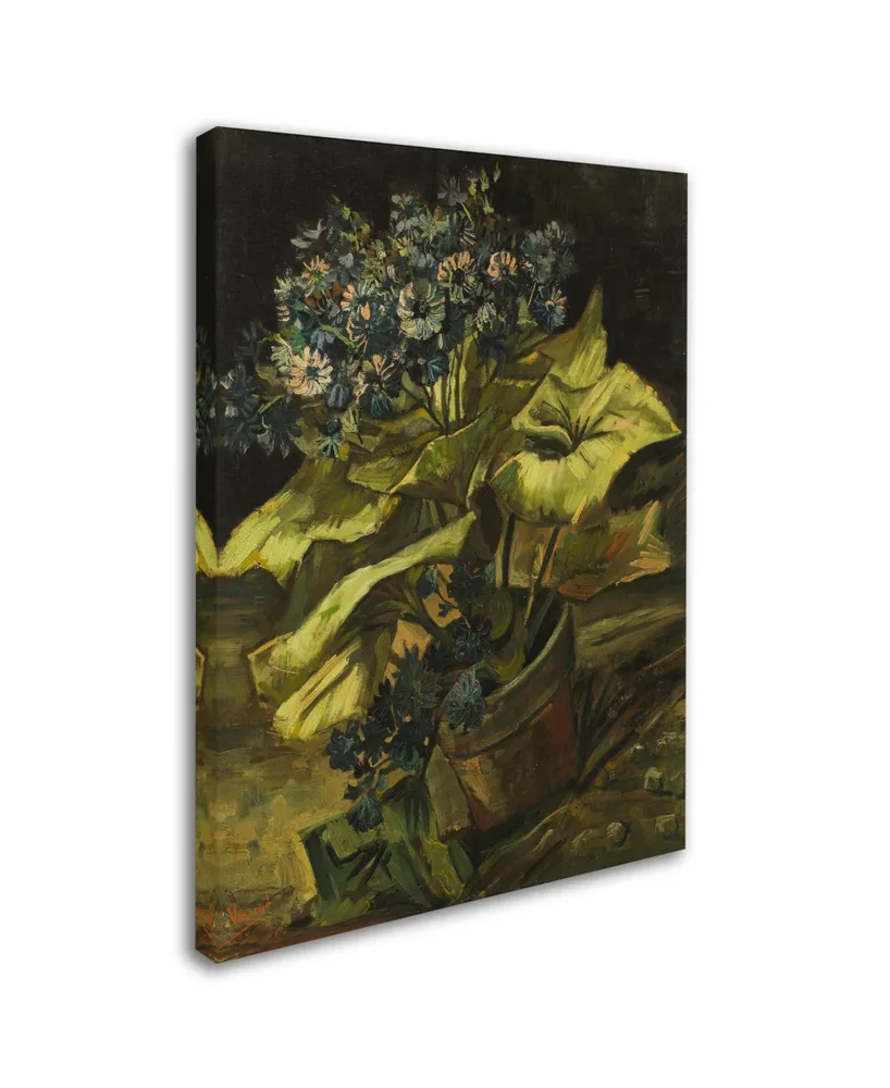 Van Gogh 'Cineraria' Canvas Art - 24" x 18" x 2"