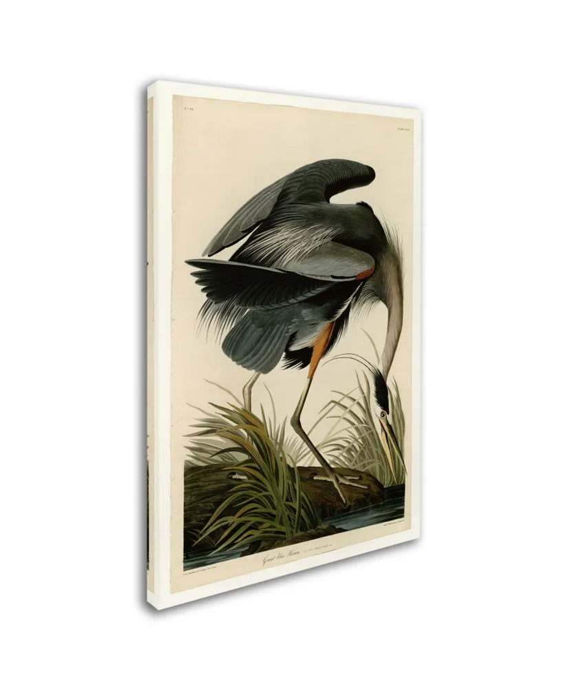 John James Audobon 'Great Blue Heron' Canvas Art - 32" x 22" x 2"
