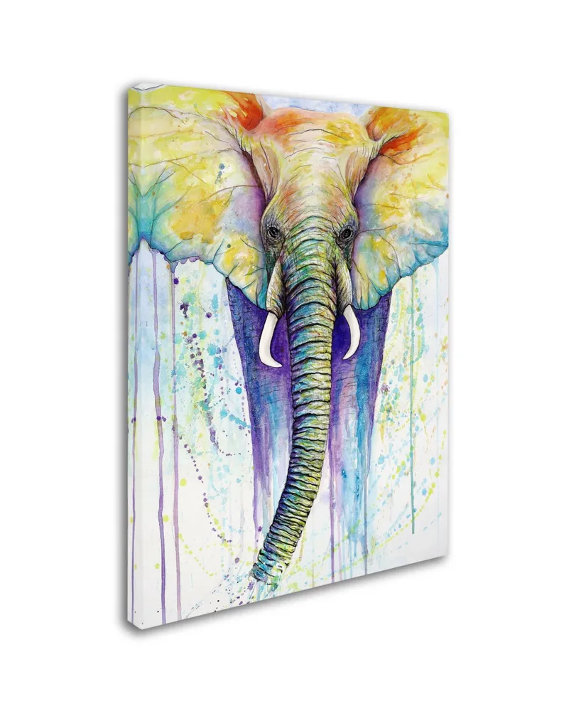 Michelle Faber 'Elephant Colors' Canvas Art - 24" x 18" x 2"