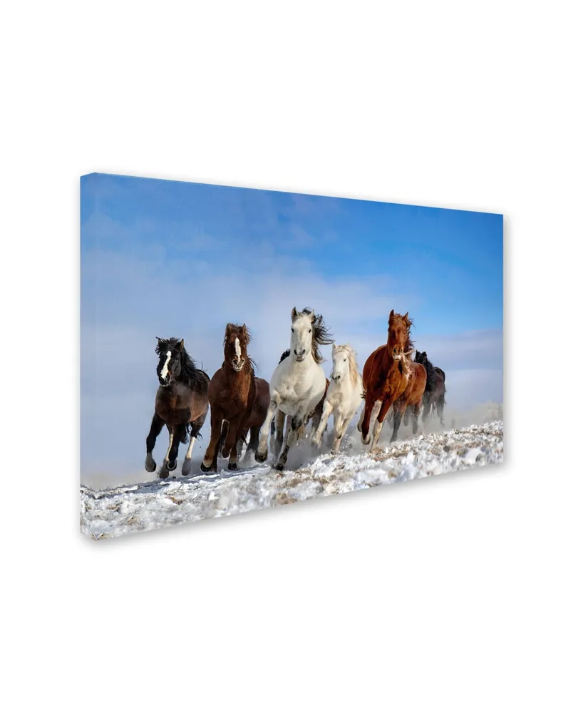 Libby Zhang 'Mongolia Horses' Canvas Art - 19" x 12" x 2"