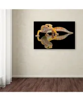 Dikky Oesin 'Leopard Gecko' Canvas Art - 19" x 12" x 2"