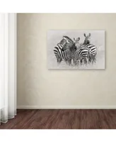 Kirill Trubitsyn 'Zebras' Canvas Art - 24" x 16" x 2"