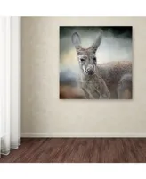 Jai Johnson 'Western Grey Kangaroo' Canvas Art - 35" x 35" x 2"