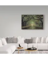 Moises Levy 'Wormsloe Avenue' Canvas Art - 32" x 22" x 2"