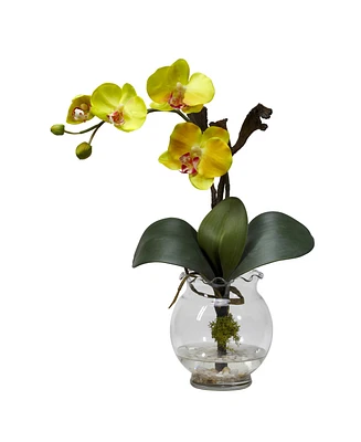 Nearly Natural Mini Phalaenopsis w/Fluted Vase Silk Flower Arrangement