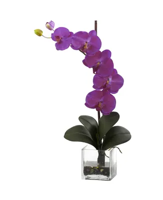 Nearly Natural Giant Phalaenopsis Orchid w/Vase Arrangement