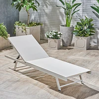 Salton Outdoor Chaise