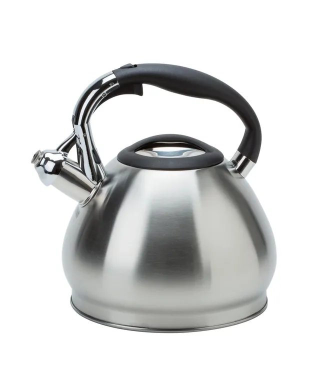 Everyday Solutions Stainless Steel Vine 2-qt. Tea Kettle, Color: Stainless  Steel - JCPenney