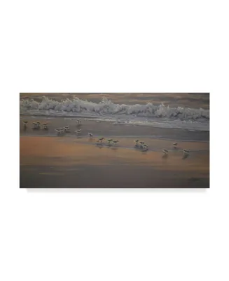 Wilhelm Goebel 'Morning Surf And Sanderlings' Canvas Art - 16" x 32"