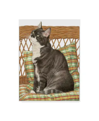 Francien Van Westering 'Black Cat On Pillow' Canvas Art - 14" x 19"