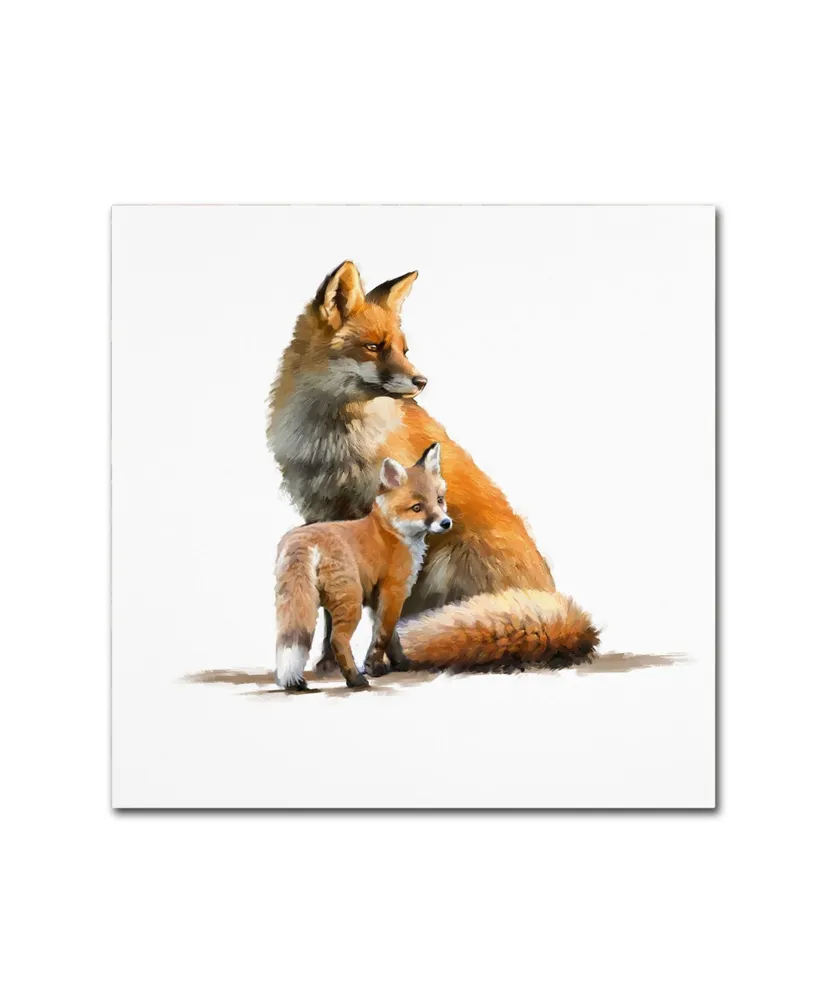 The Macneil Studio 'Fox' Canvas Art - 24" x 24"