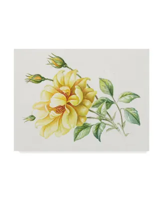 Janneke Brinkman-Salentijn 'Yellow Rose' Canvas Art - 35" x 47"