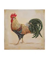 Jean Plout 'Rooster 3' Canvas Art - 35" x 35"