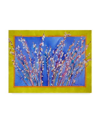 Sharon Pitts 'Pussy Willows' Canvas Art - 47" x 35"