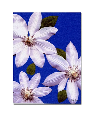 Summer Sky by Kathie McCurdy Canvas Art - 24" x 18"