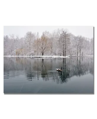 Kurt Shaffer 'Winter Goose' Canvas Art - 32" x 22"