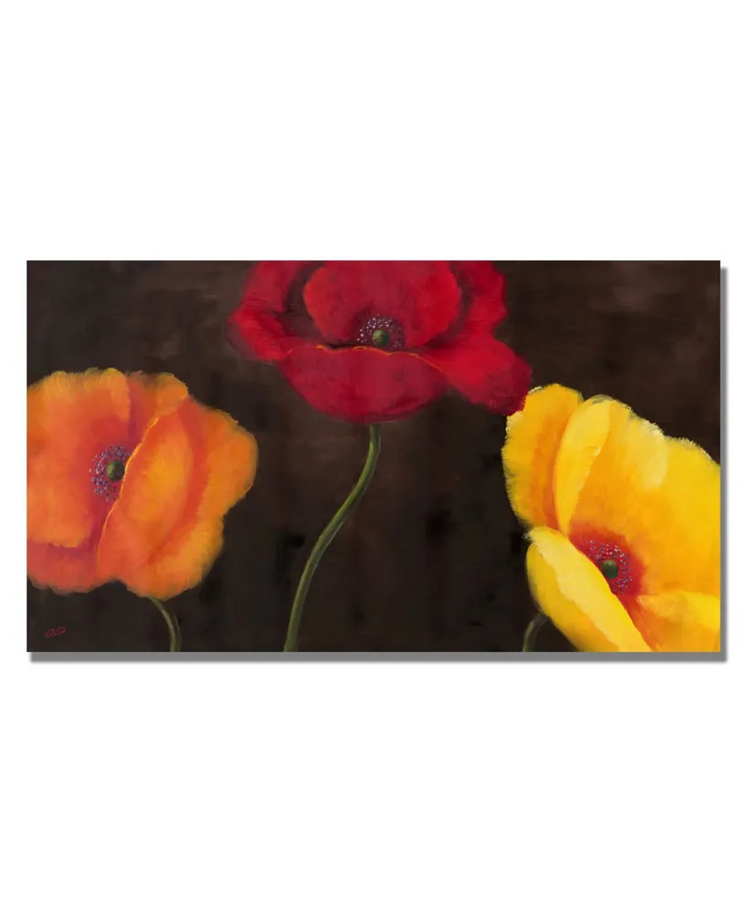 Rio 'Orange Red and Yellow' Canvas Art - 47" x 24"